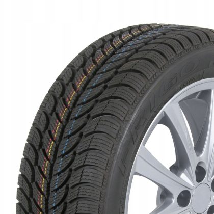 1x DĘBICA 205/55R16 91T Frigo 2 Zimowa 2025 r